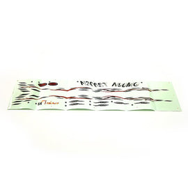 Dynam SR22 decal(silver)